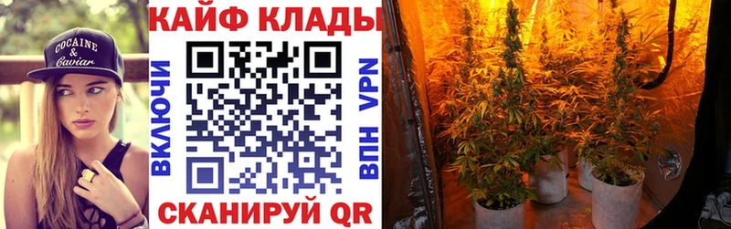 Где купить наркоту Шарья COCAIN  А ПВП  Гашиш  Меф мяу мяу 