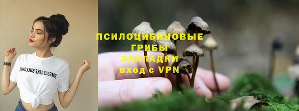 мет Алексин