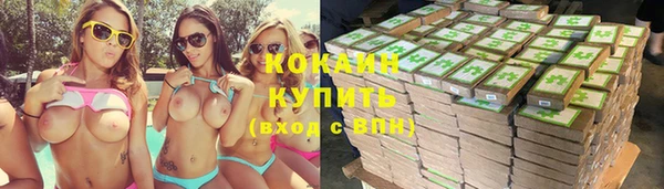 СК Алзамай